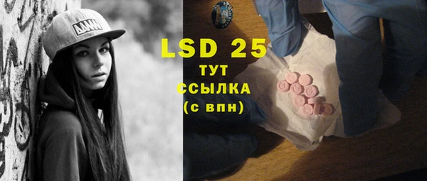 сатива Слюдянка
