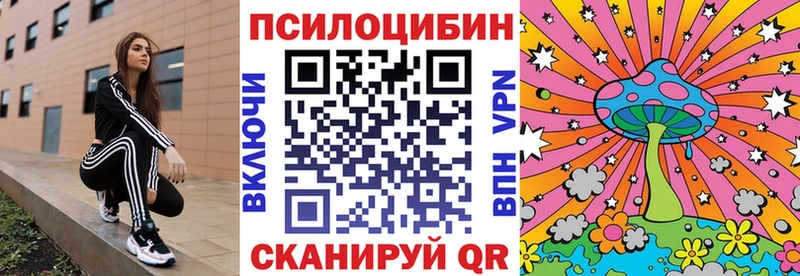Псилоцибиновые грибы MAGIC MUSHROOMS  сколько стоит  Шимановск 